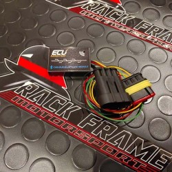 Bluetooth Module EcuMaster