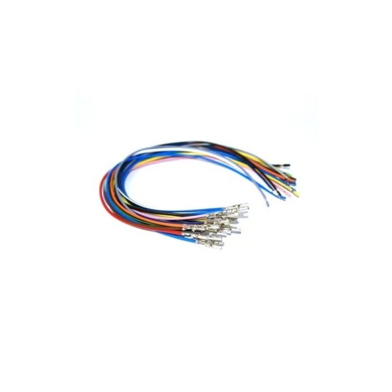 EcuMaster DET 3 Wiring DET 3 Wiring Ecu Master  by https://www.track-frame.com 