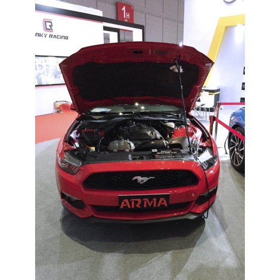 Armaspeed ARMAFDMSTG-A-GLOSS Carbon Air Intake FORD MUSTANG ECOBOOST MK6 Carbon Air Intake Armaspeed Armaspeed  by https://www.track-frame.com 