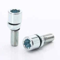 Set of 20 SILVER Changeable star bolts 12x1,5 + Key