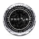 Concaver Premium Center Cap - Forged Carbon - Silver Machined