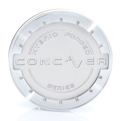 Center Cap MG-P8347 Brushed Silver Center Cap MG-P8347 Brushed Silver